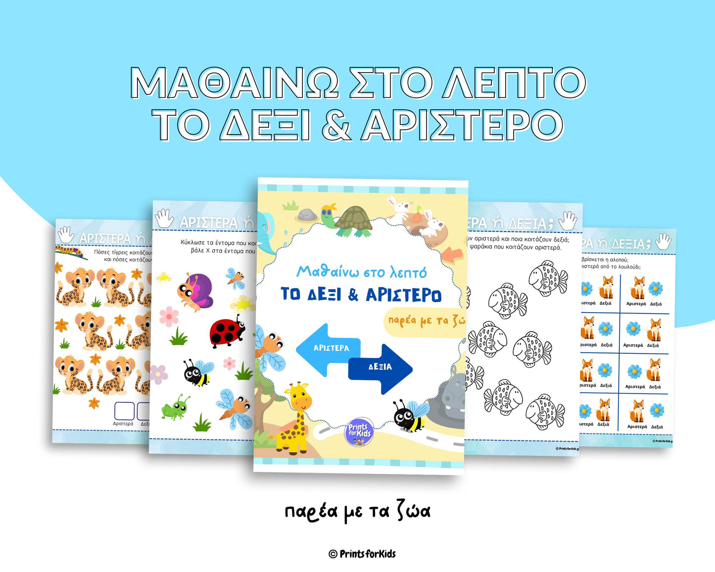 Μαθαίνω στο λεπτό το δεξί και αριστερό - παρέα με τα ζώα