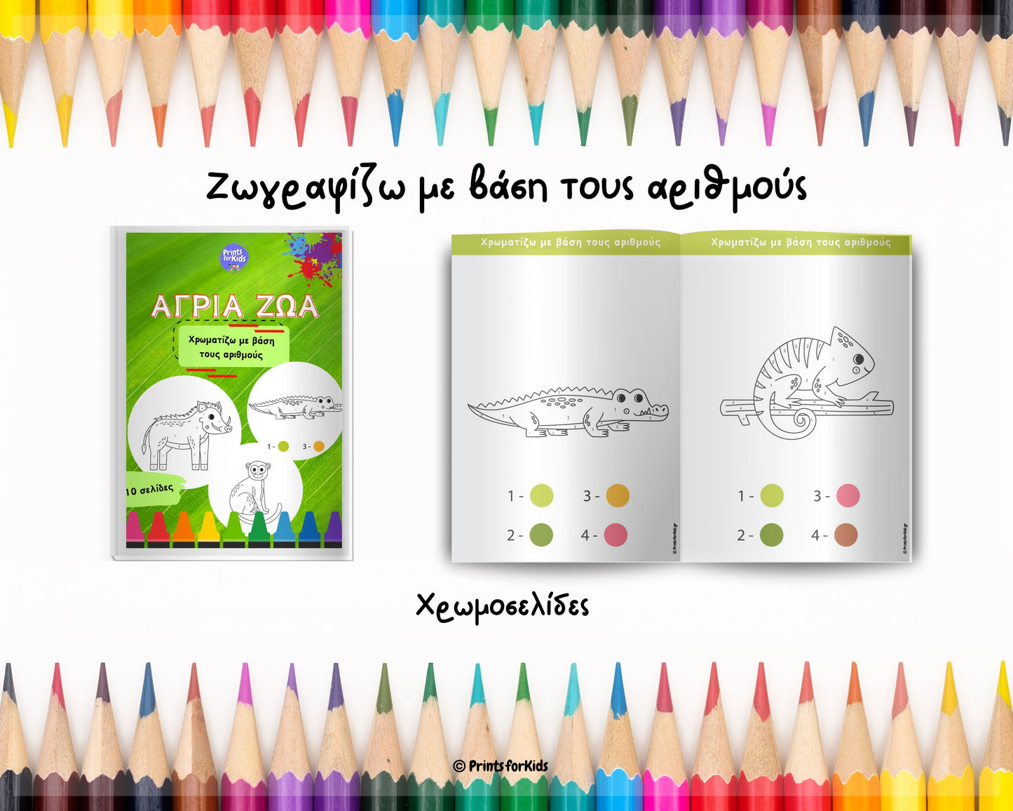 Άγρια Ζώα - Χρωματίζω με βάση τους αριθμούς